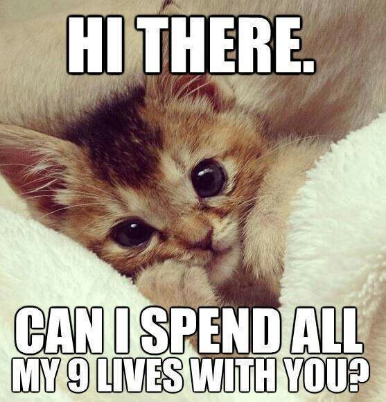 Cute Memes That Can Make Relationships Better Mintal