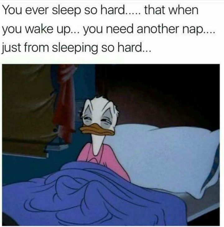 The Best Insomnia Meme for People Who Can’t Sleep-Mintal